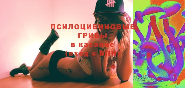 a pvp Богданович