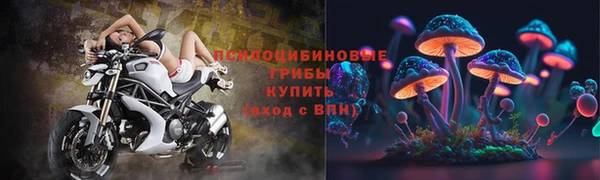 соль ск Богородицк
