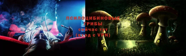 PSILOCYBIN Богородск