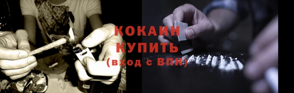 соль ск Богородицк