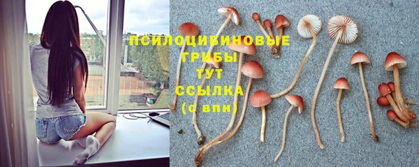 соль ск Богородицк