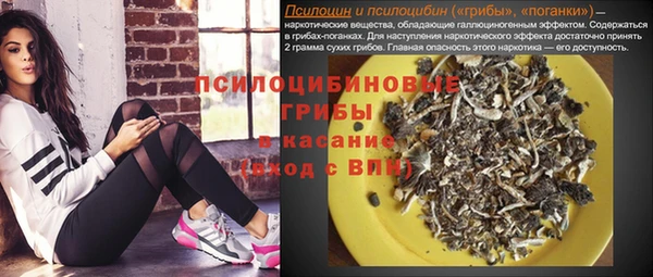 соль ск Богородицк