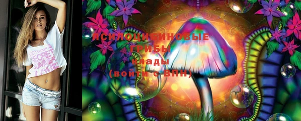 PSILOCYBIN Богородск