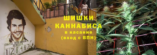 PSILOCYBIN Богородск