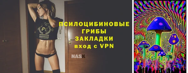 соль ск Богородицк